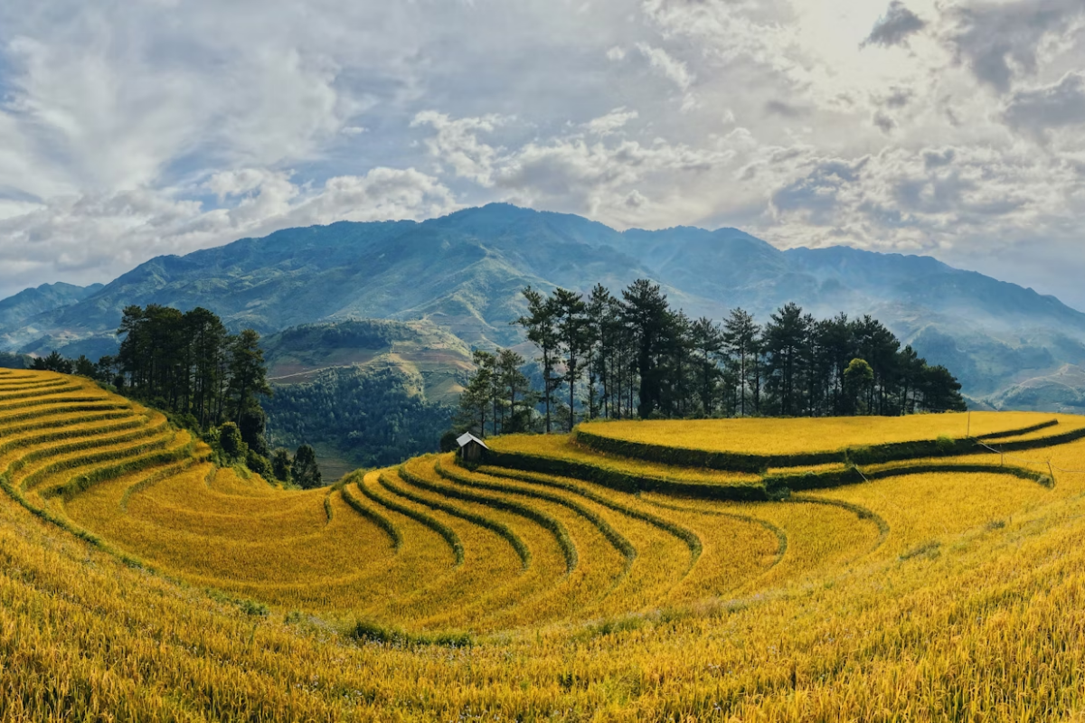 Mountainous landscape and terraced fields in northern Vietnam